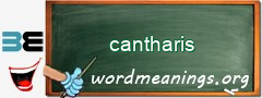 WordMeaning blackboard for cantharis